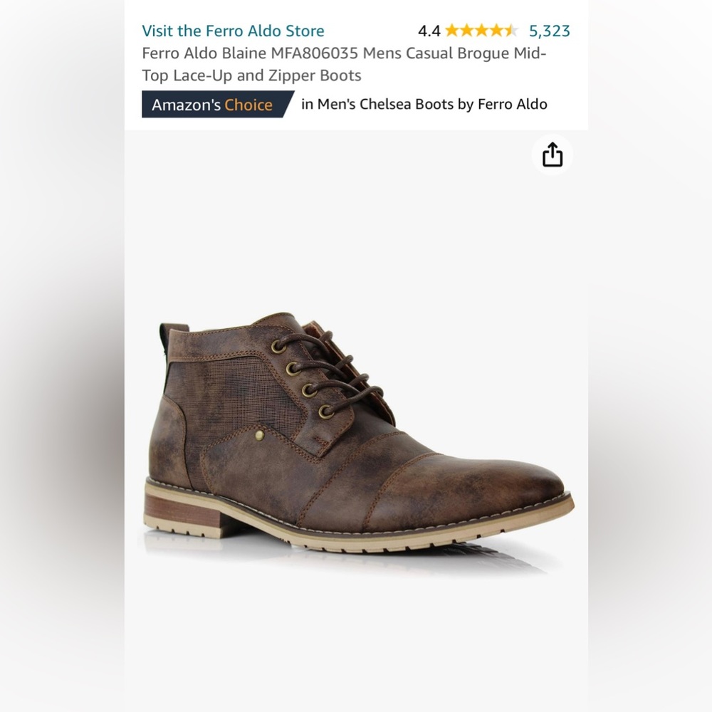 Ferro aldo men’s boots.